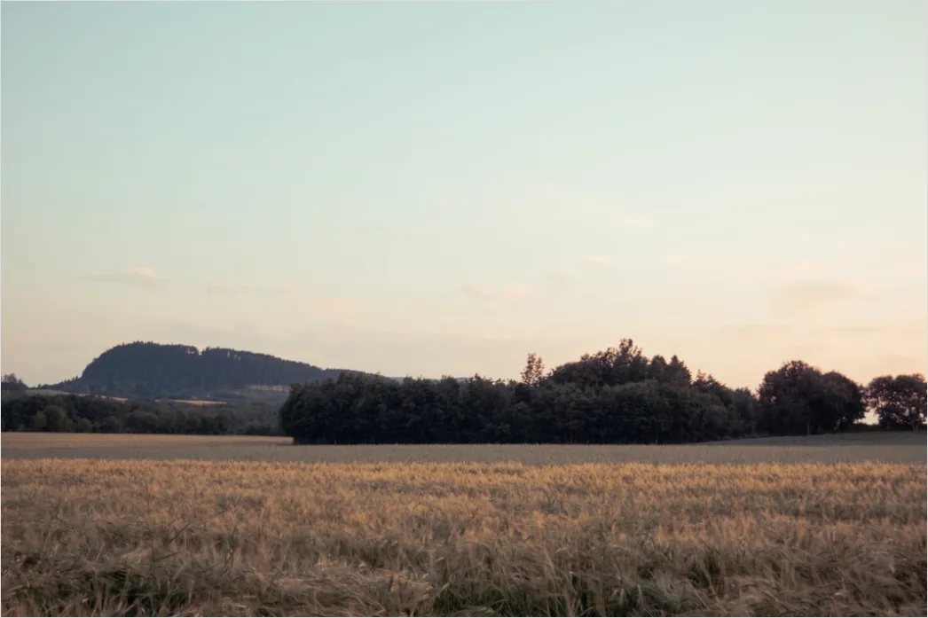 Detail Herbstfeld Ernte Landschaft Stimmung Number 11