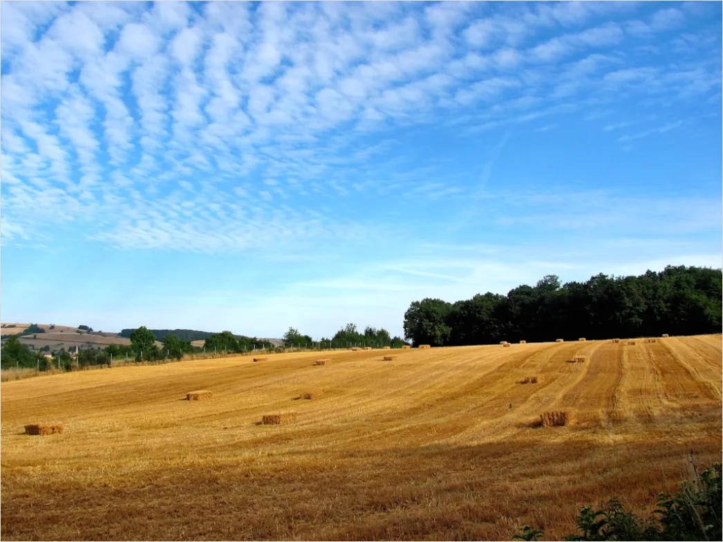 Detail Herbstfeld Ernte Landschaft Stimmung Number 12