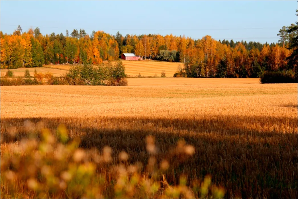 Detail Herbstfeld Ernte Landschaft Stimmung Number 16