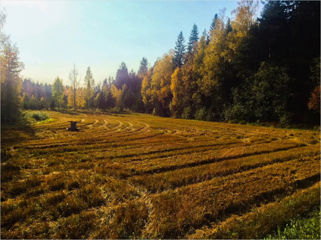 Detail Herbstfeld Ernte Landschaft Stimmung Number 20