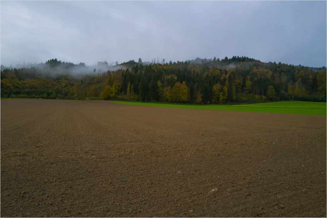 Detail Herbstfeld Ernte Landschaft Stimmung Number 3