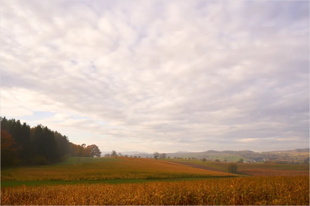 Detail Herbstfeld Ernte Landschaft Stimmung Number 6