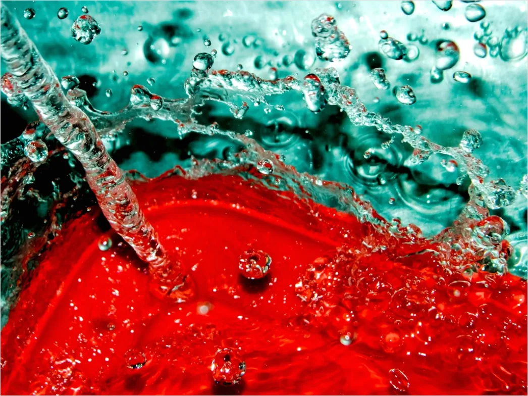 Detail Infused Water Flasche Obst Nahaufnahme Number 12