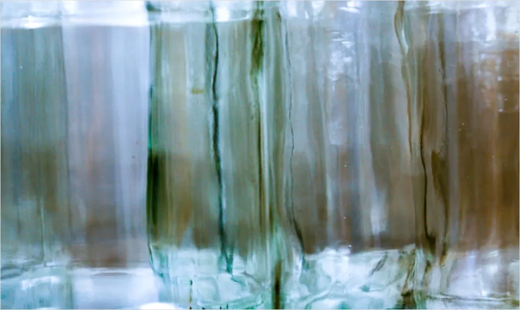Detail Infused Water Flasche Obst Nahaufnahme Number 14
