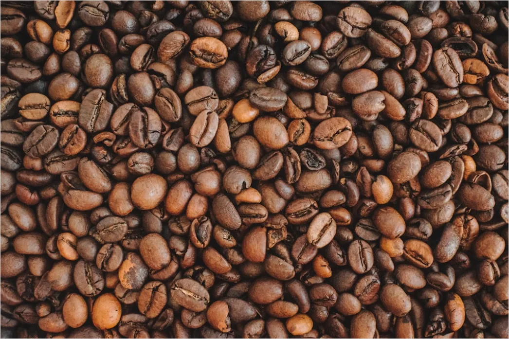 Detail Kaffee Bohnen Makro Nahaufnahme Textur Number 2