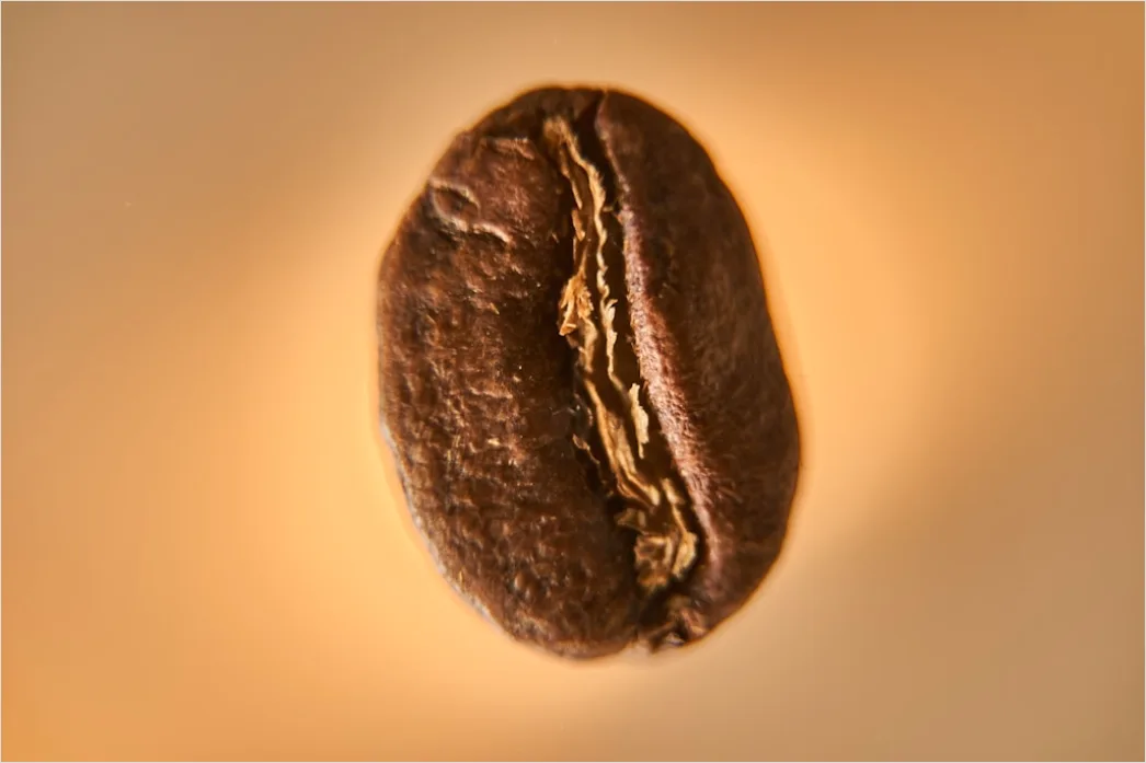 Detail Kaffee Bohnen Makro Nahaufnahme Textur Number 16