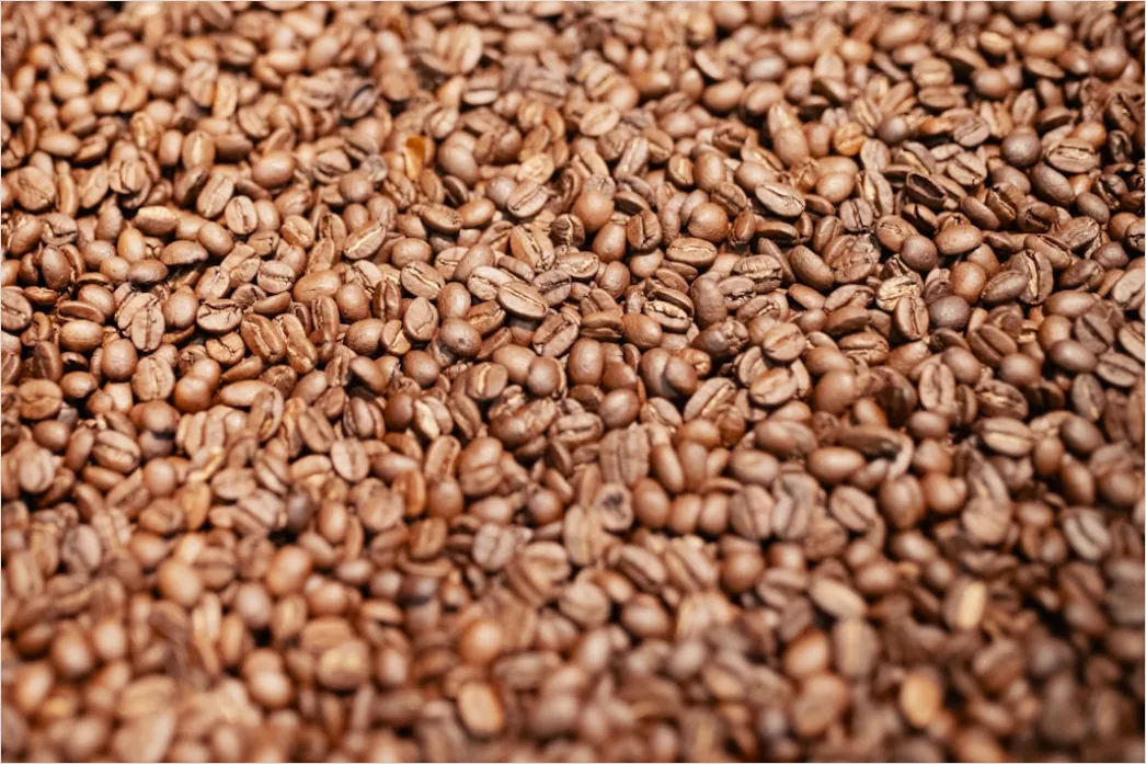Detail Kaffee Bohnen Makro Nahaufnahme Textur Number 20