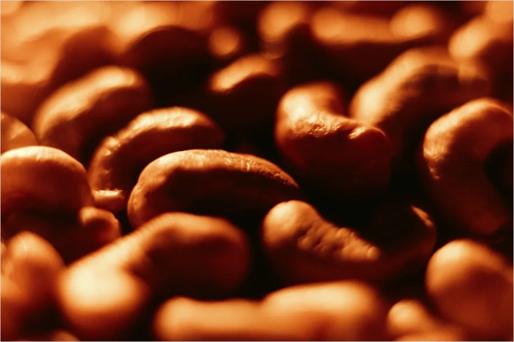 Detail Kaffee Bohnen Makro Nahaufnahme Textur Number 6