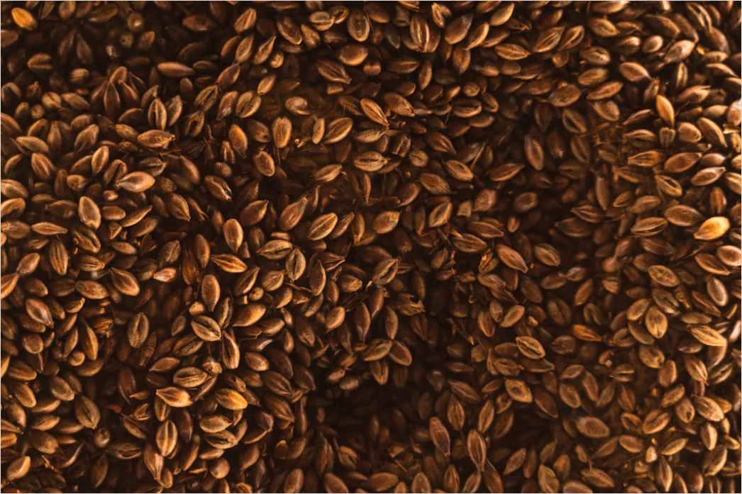Detail Kaffee Bohnen Makro Nahaufnahme Textur Number 9