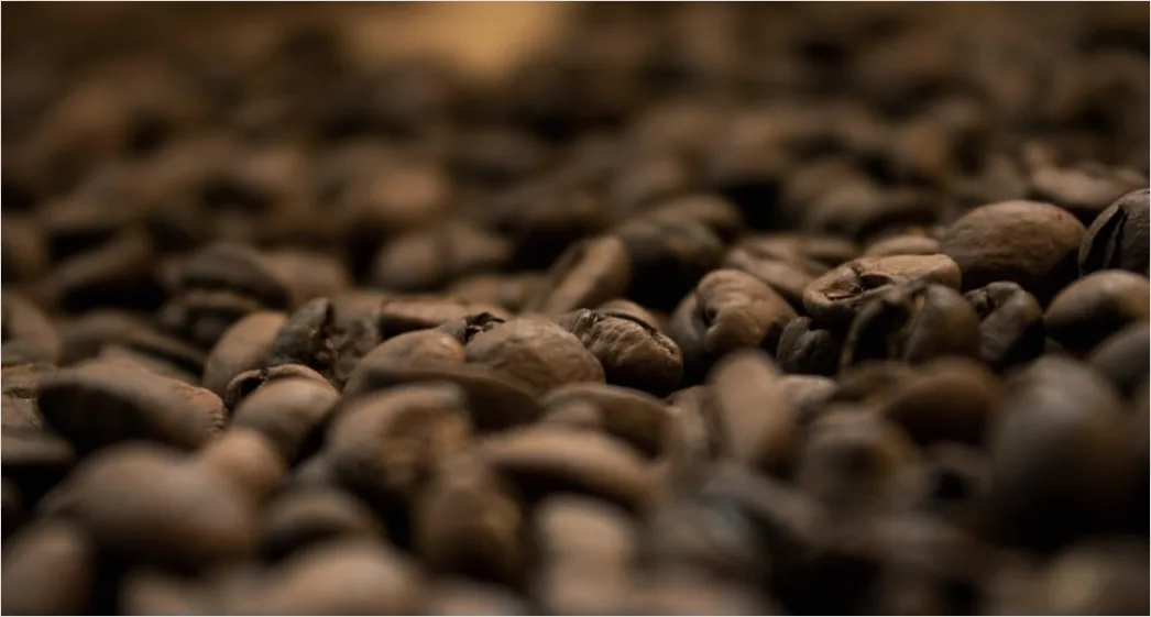 Detail Kaffee Bohnen Nahaufnahme Makro Detail Number 8