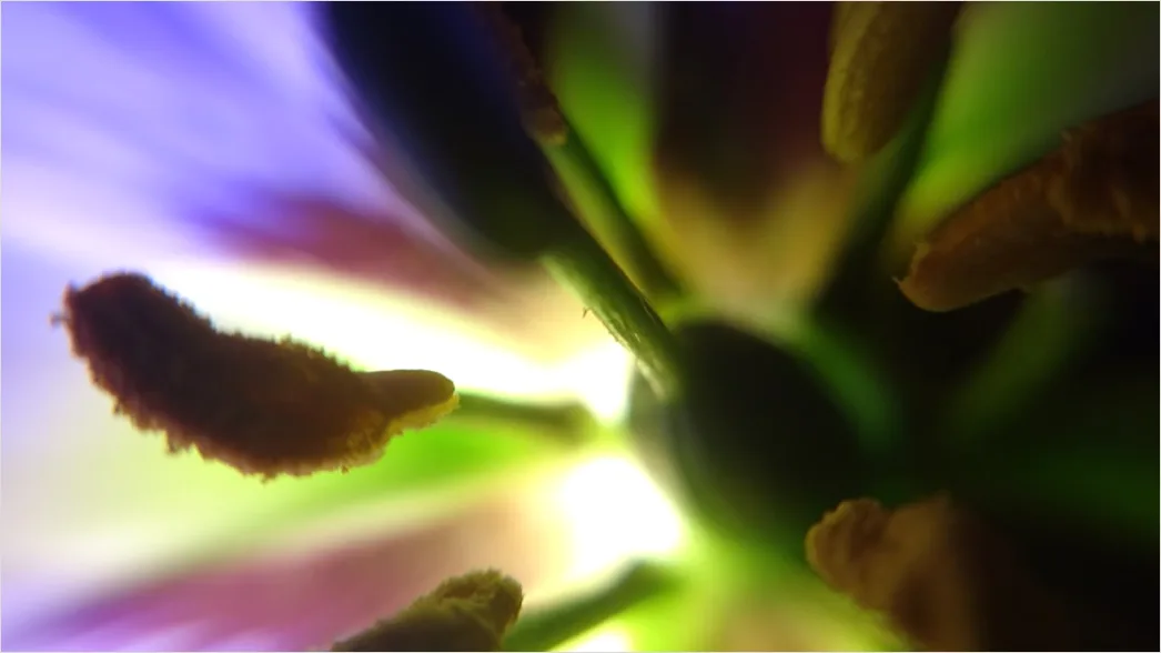 Detail Led Licht Makro Nahaufnahme Farbig Number 9