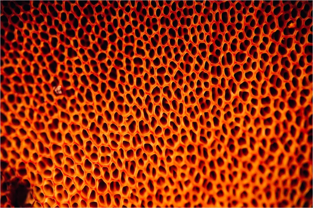 Detail Leder Textur Makro Nahaufnahme Number 11
