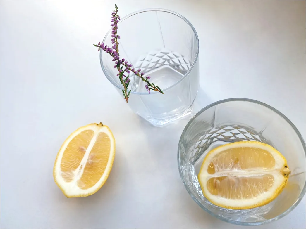 Detail Lemonade Glas Zitrone Minze Eis Sommer Number 15