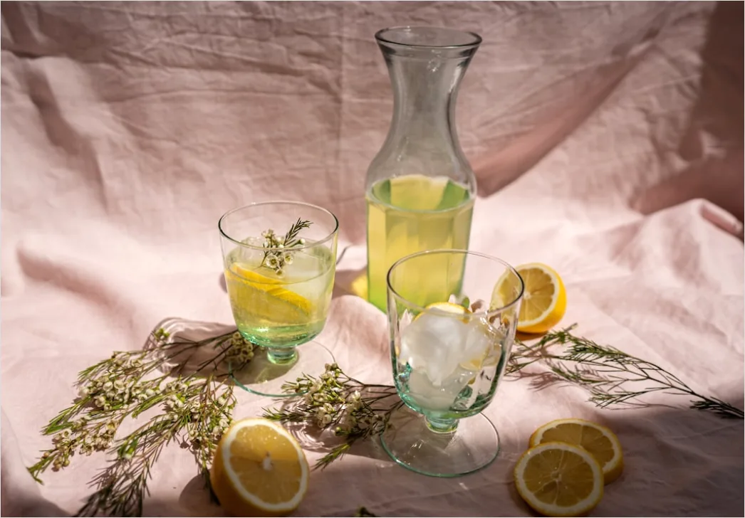 Detail Lemonade Glas Zitrone Minze Eis Sommer Number 7
