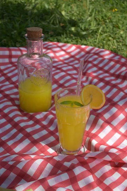 Detail Limonade Selbstgemacht Glas Sommer Outdoor Number 4