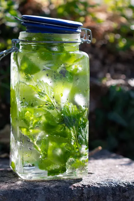 Detail Limonade Selbstgemacht Glas Sommer Outdoor Number 7