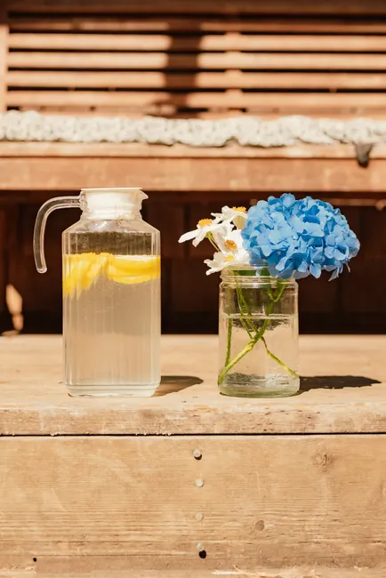 Detail Limonade Selbstgemacht Glas Sommer Outdoor Number 8
