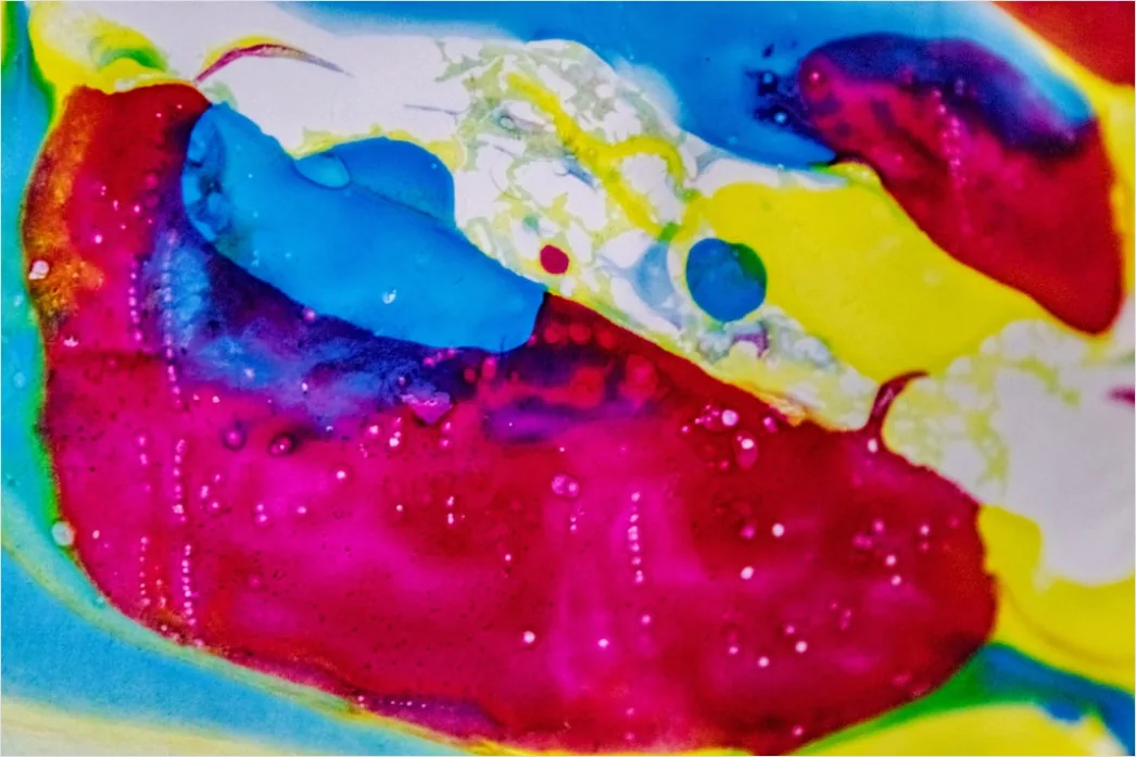 Detail Lippen Makro Nahaufnahme Gloss Detail Number 12