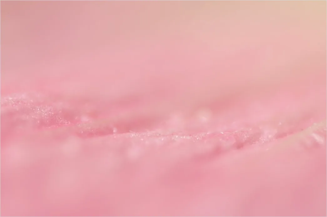 Detail Lippen Makro Nahaufnahme Gloss Detail Number 17