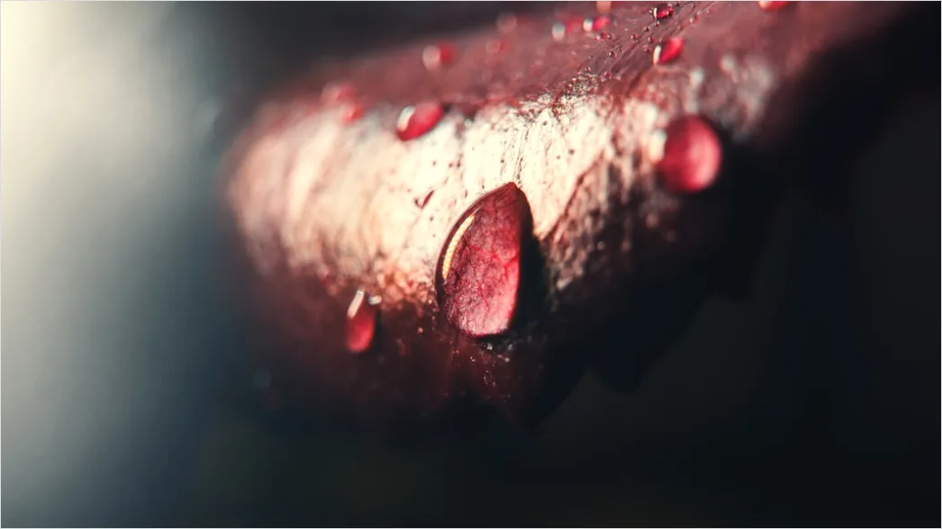 Detail Lippen Makro Nahaufnahme Gloss Detail Number 5