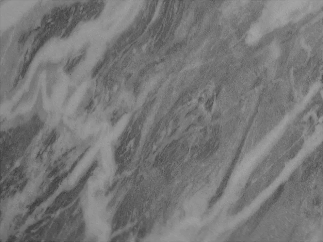 Detail Marmor Textur Makro Nahaufnahme Hintergrund Number 14