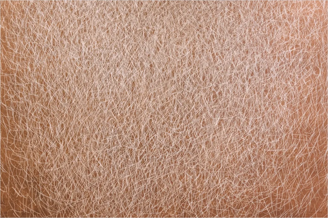 Menschliche Haut Makro Nahaufnahme Textur 1375