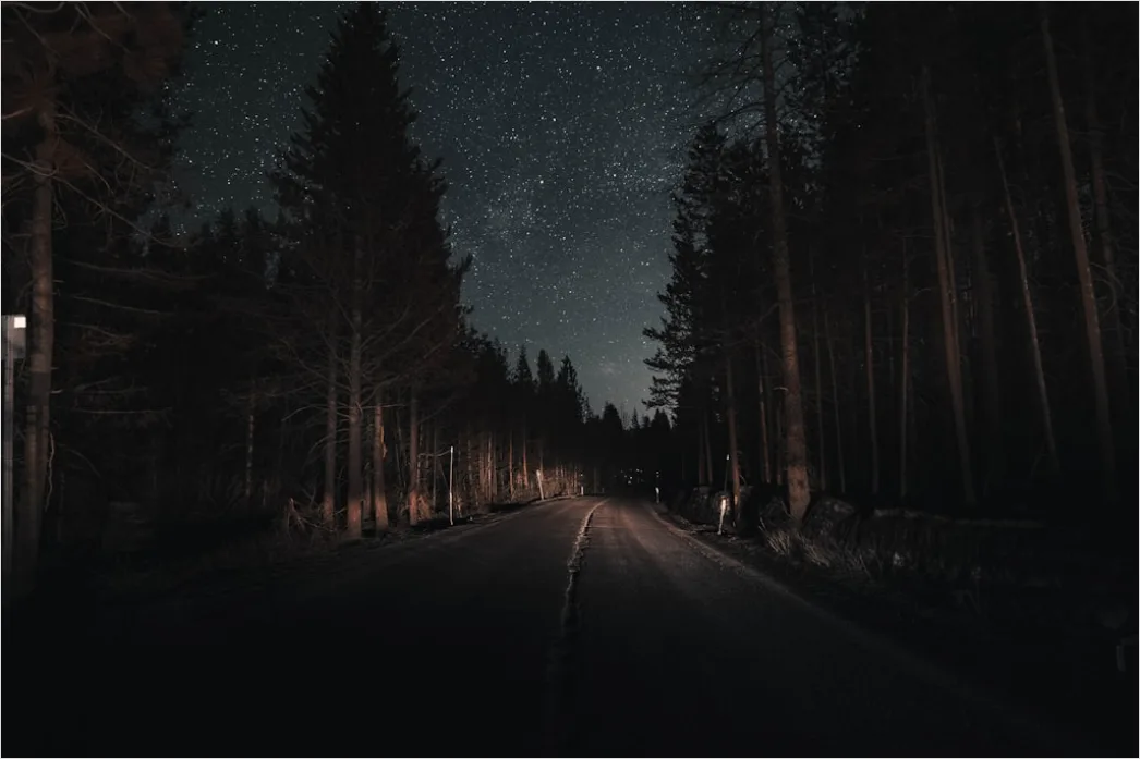 Milchstrasse Wald Baeume Silhouette Nacht 7c55