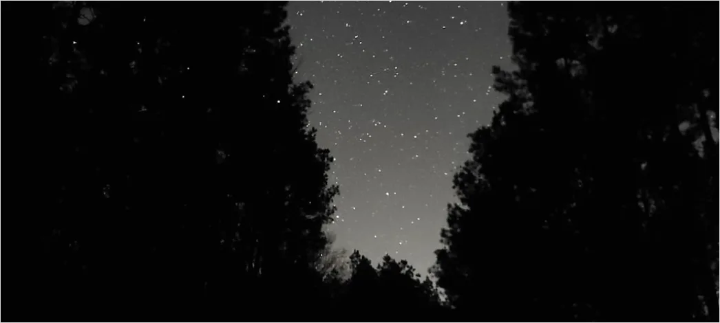 Detail Milchstraße Wald Bäume Silhouette Nacht Number 18