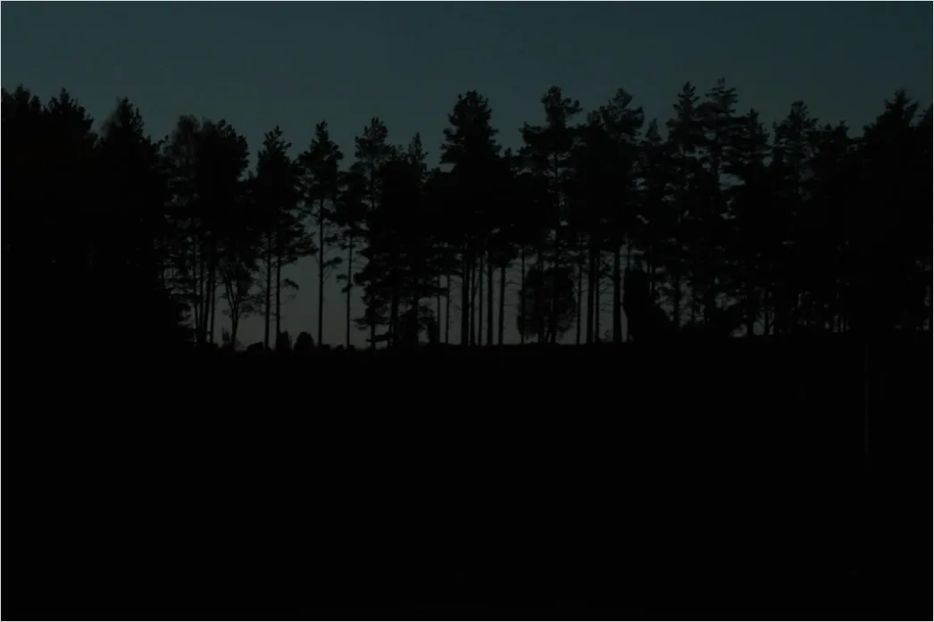 Detail Milchstraße Wald Bäume Silhouette Nacht Number 9