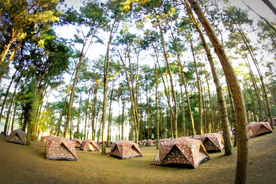 Detail Musikfestival Camping Zelte Outdoor Number 7
