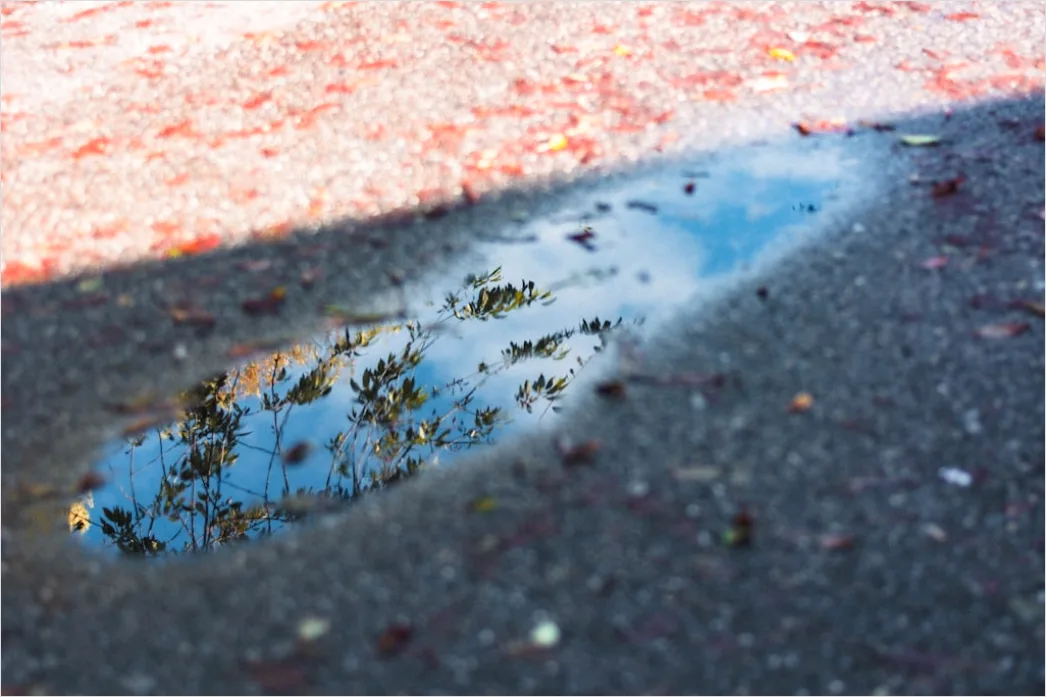 Detail Nasser Asphalt Makro Nahaufnahme Reflexionen Number 14