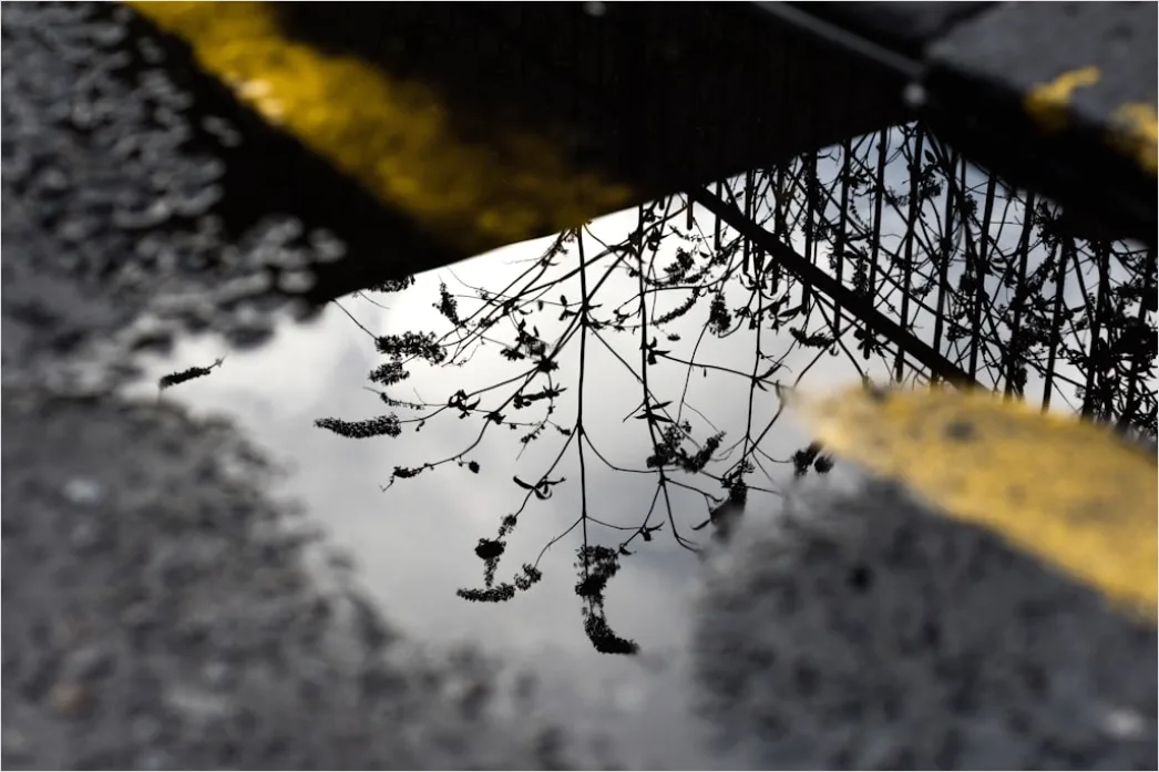 Detail Nasser Asphalt Makro Nahaufnahme Reflexionen Number 16