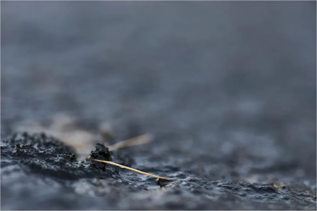 Detail Nasser Asphalt Makro Nahaufnahme Reflexionen Number 6
