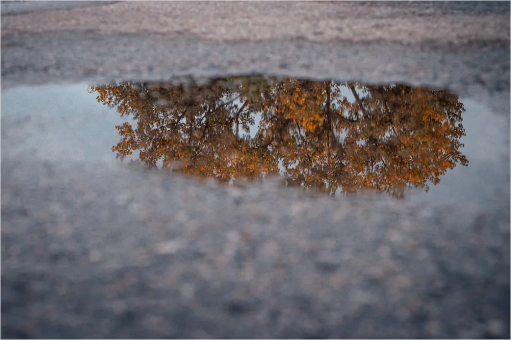 Detail Nasser Asphalt Makro Nahaufnahme Reflexionen Number 7