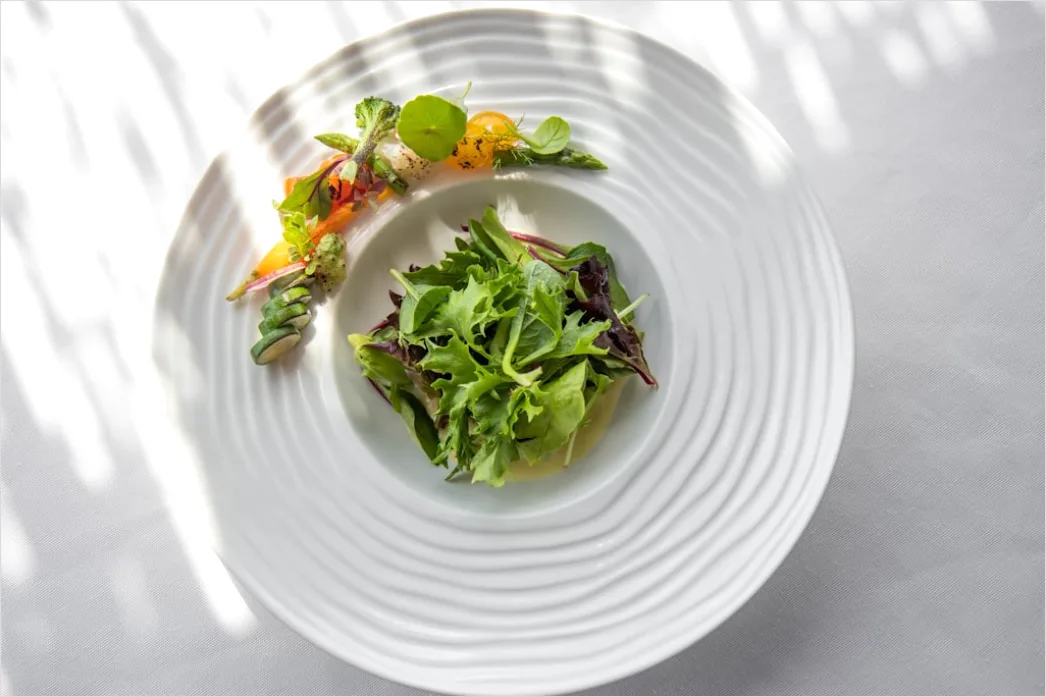Detail Nicoise Salat Teller Elegant Nahaufnahme Number 14