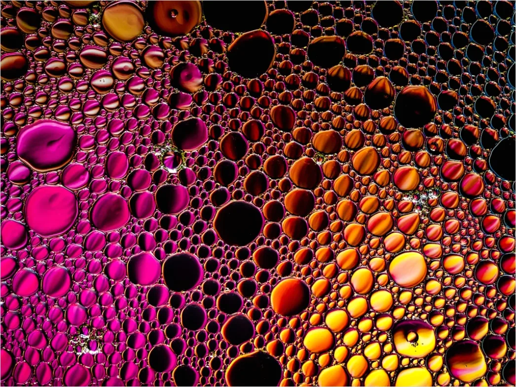 Detail Raupe Makro Nahaufnahme Farben Muster Number 16