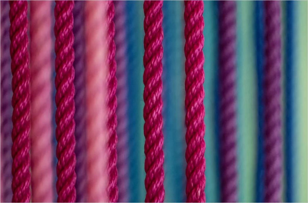Detail Raupe Makro Nahaufnahme Farben Muster Number 20