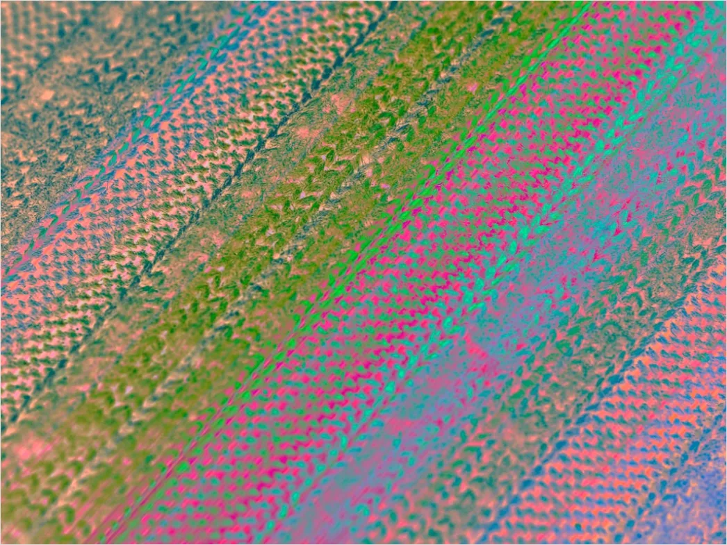Detail Raupe Makro Nahaufnahme Farben Muster Number 5