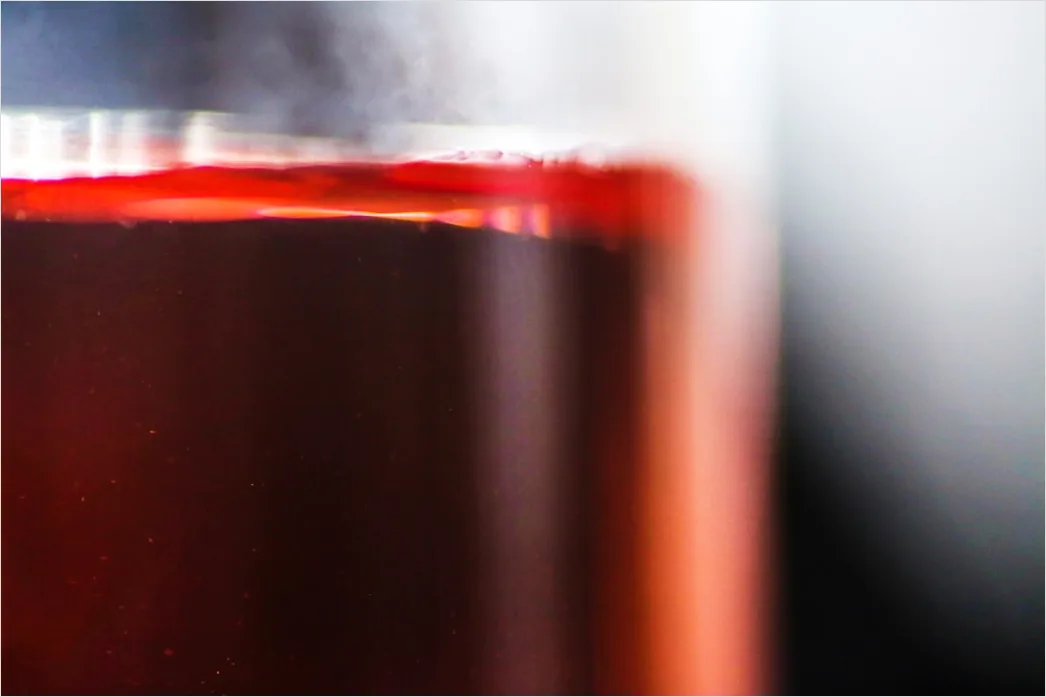 Rote Beete Saft Glas Nahaufnahme Gesund 489d