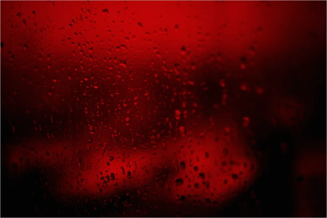 Detail Rote Beete Saft Glas Nahaufnahme Gesund Number 15