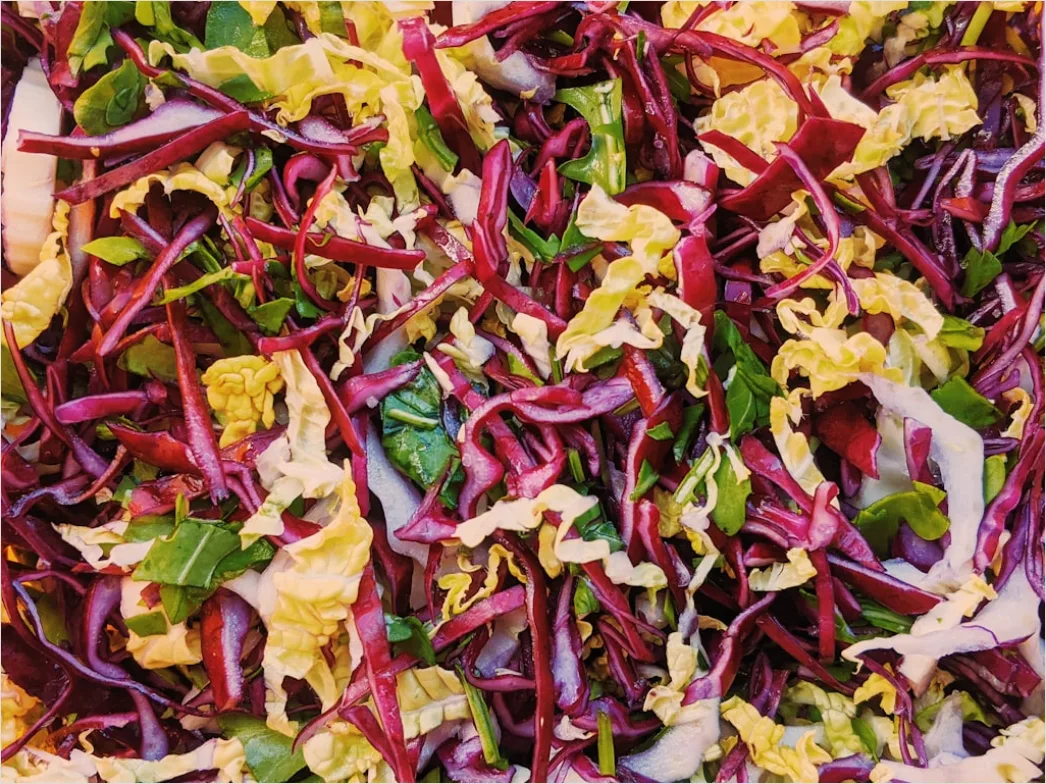 Detail Rote Beete Salat Teller Nahaufnahme Bunt Number 6