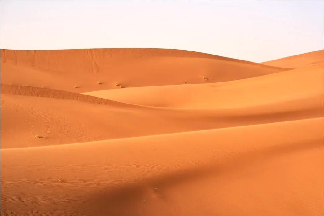 Sahara Wueste Duenen Kamel Silhouette Be35