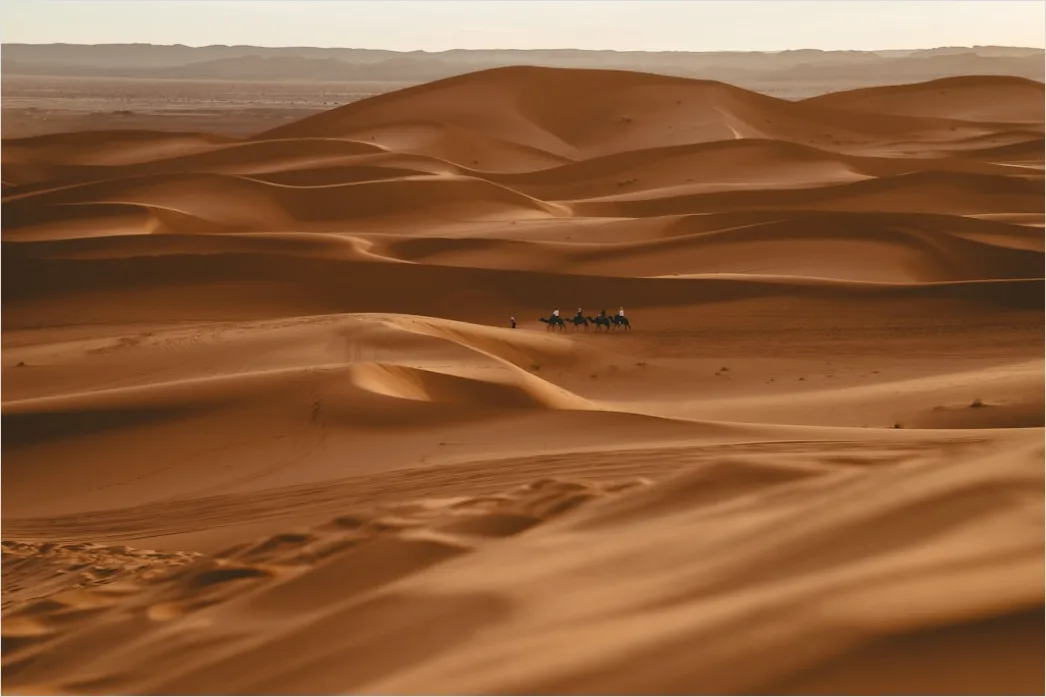 Detail Sahara Wüste Dünen Kamel Silhouette Number 2