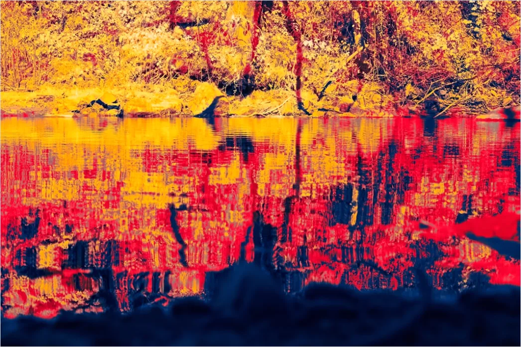 Detail See Herbst Spiegelung Bäume Bunt Number 15