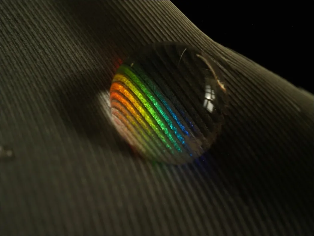 Detail Seifenblasen Makro Nahaufnahme Regenbogen Number 19