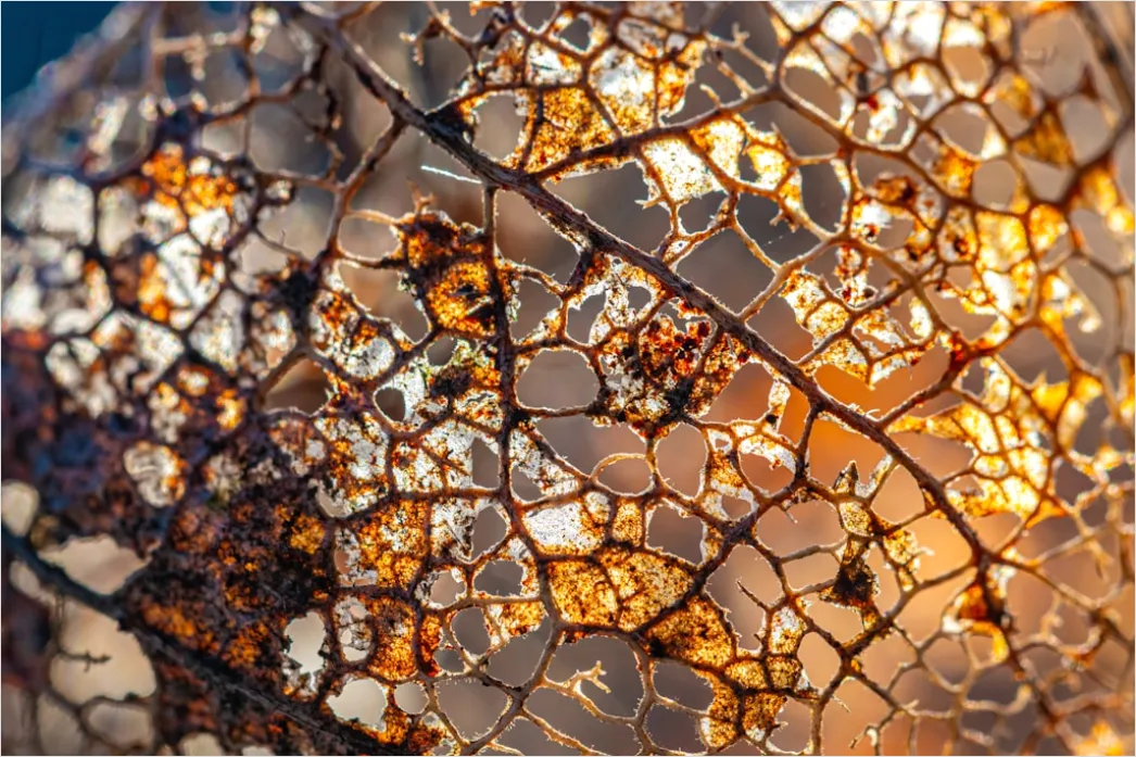 Detail Smartphone Lautsprecher Makro Nahaufnahme Number 18