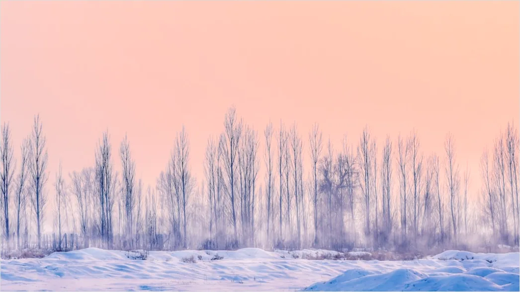 Detail Sonnenaufgang Winter Schnee Rosa Number 2