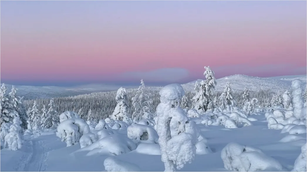Detail Sonnenaufgang Winter Schnee Rosa Number 14