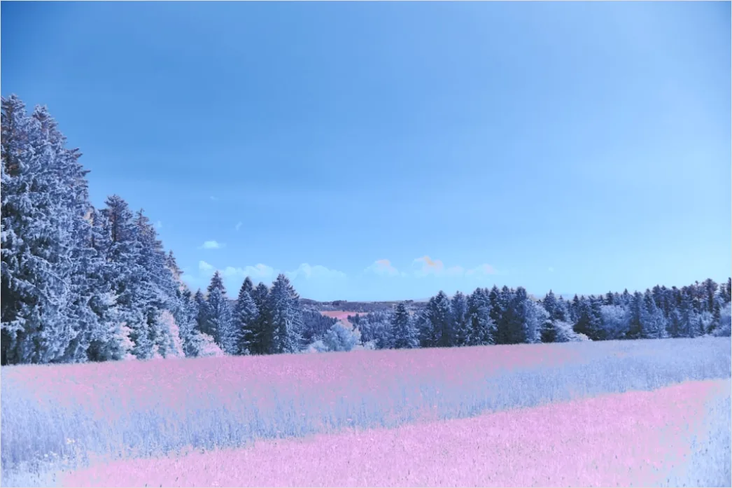 Detail Sonnenaufgang Winter Schnee Rosa Number 20