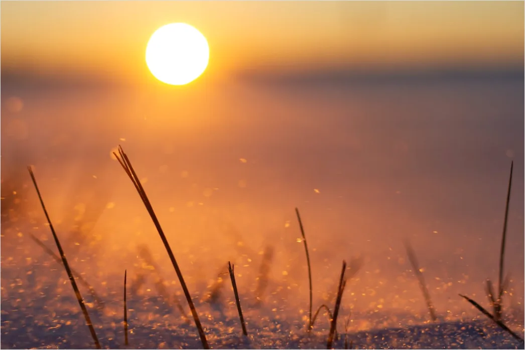 Detail Sonnenaufgang Winter Schnee Rosa Number 6